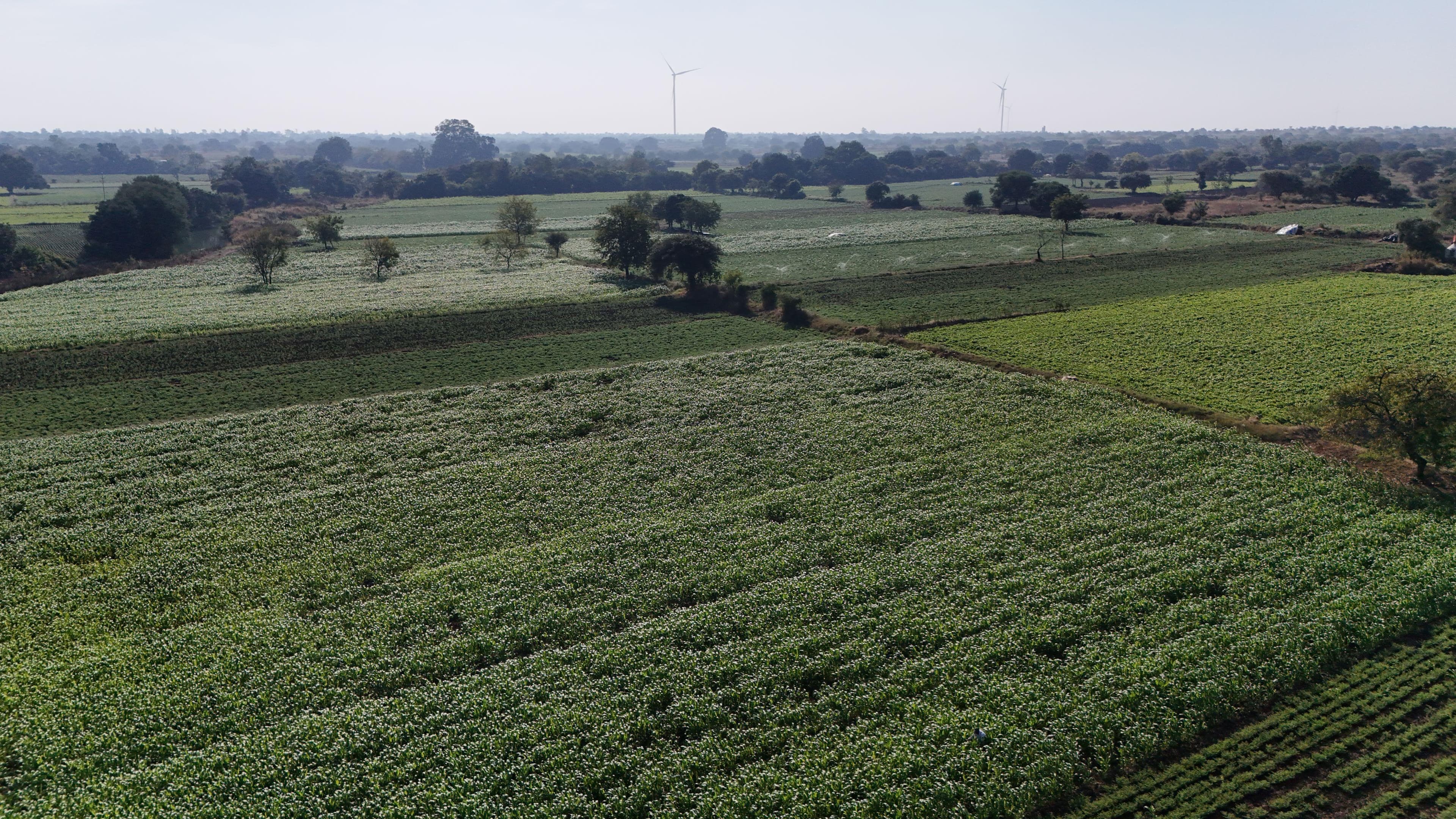 Ecosystem level in digital agriculture